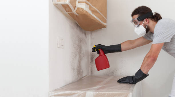 Professional Basement Mold Remediation technician working in Marsteller, PA